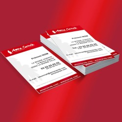 Carte de visite sans photo