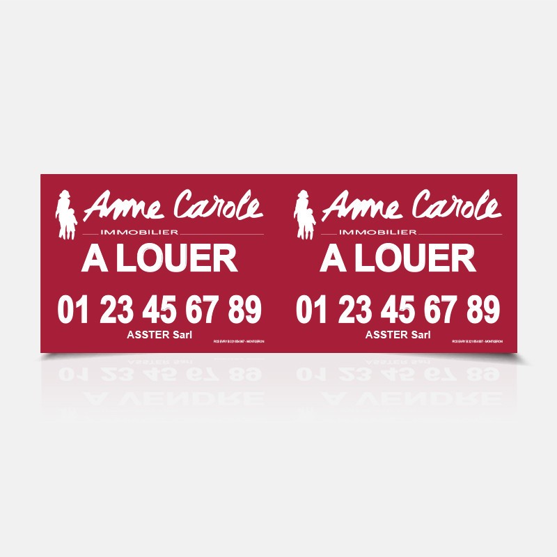 Panneau double recto 600x800 mm